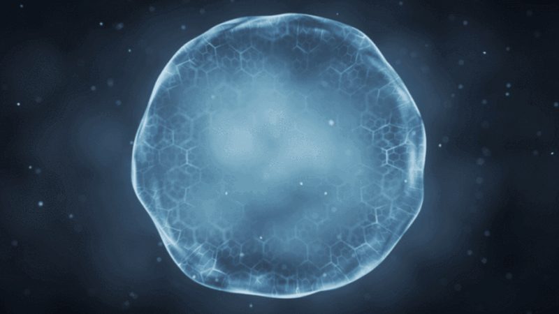酶制剂在生物医药研发中的关键作用解析