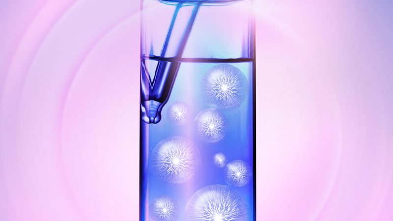 分子克隆中的得力助手：高保真聚合酶的选择与考量**