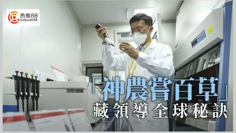 干细胞培养基选购：如何避开误区，选择合适产品**