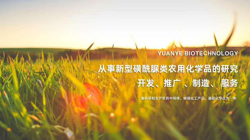引物合成怎么选，先看用途再谈规格