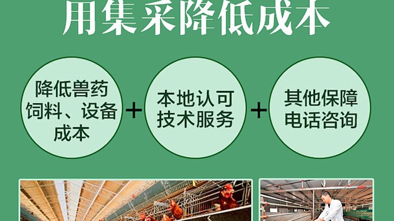 引物合成与设计：解析两者之间的关键差异