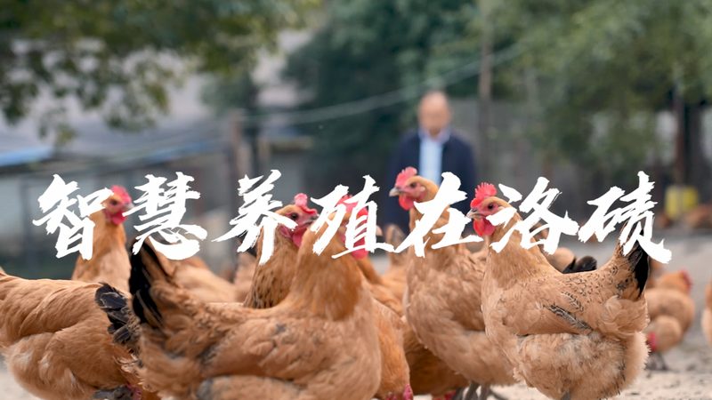 干细胞培养基：揭秘其价值与选择要点**