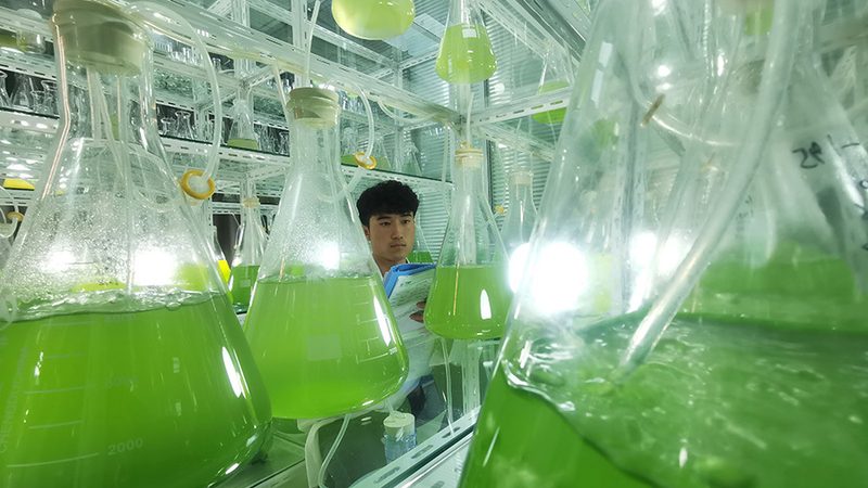PCR检测仪器材质选择：材质背后的耐用性与性能考量